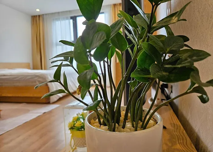 View Bien Apartment Ha Long